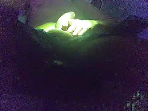 Snapshot of analice32456 chatting on March 3, 6:52 am analice32456 online show from March 3, 6:52 am