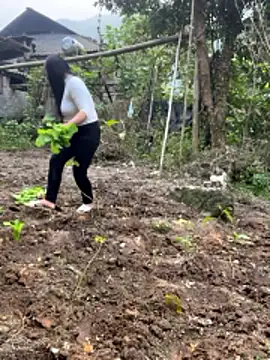 heodat-sexx online show from December 20, 9:38 am