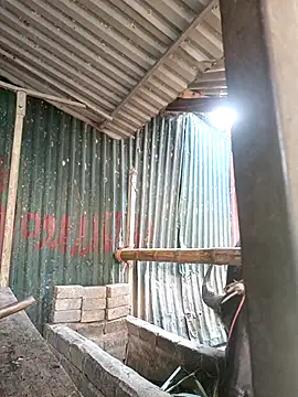 yoyo-mi online show from November 27, 12:56 am