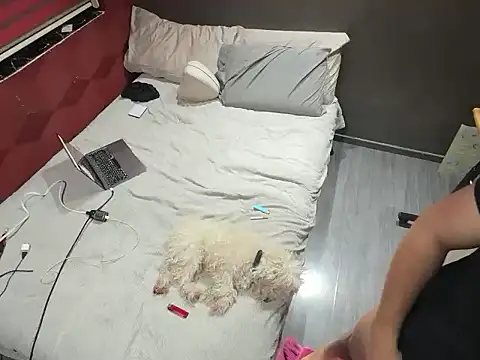 Bbydaddy 0 online show from January 19, 9:57 am