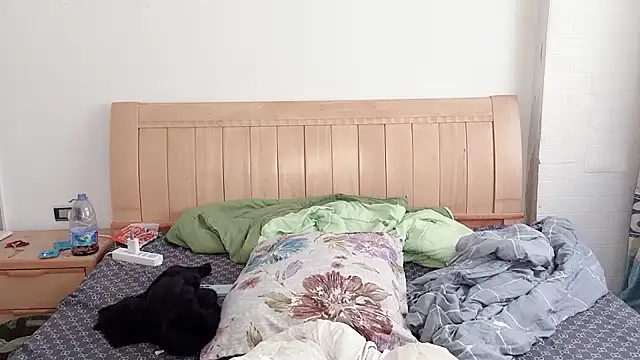 Snapshot of N228 chatting on December 5, 6:55 am N228 online show from December 5, 6:55 am