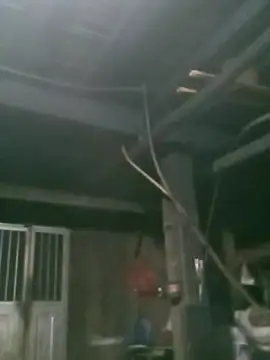 Snapshot of matbiec- chatting on November 19, 10:32 pm matbiec- online show from November 19, 10:32 pm