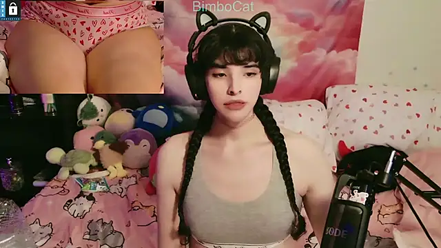 BimboCat online show from November 1, 7:21 am
