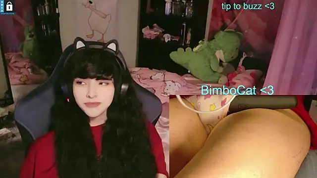 Snapshot of BimboCat chatting on June 13, 8:07 pm BimboCat online show from June 13, 8:07 pm
