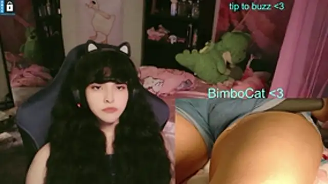 Snapshot of BimboCat chatting on June 14, 2:35 am BimboCat online show from June 14, 2:35 am