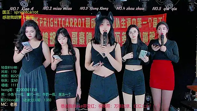 Snapshot of YB-001 chatting on November 8, 2:12 am YB-001 online show from November 8, 2:12 am