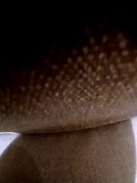 pino870 online show from March 3, 11:54 pm