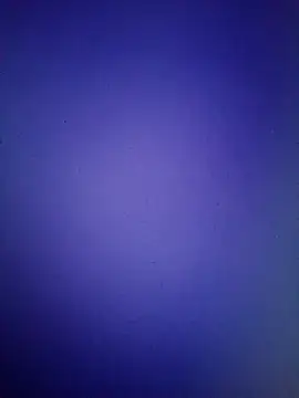 Pallu Asha online show from March 16, 1:15 pm