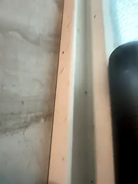 Snapshot of RobsBigD chatting on October 30, 6:19 pm RobsBigD online show from October 30, 6:19 pm