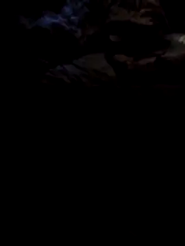 1990Mido online show from April 13, 5:57 am