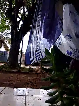 moreninho564 online show from November 25, 4:40 pm