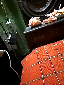 BdTinyDick online show from November 6, 6:20 pm