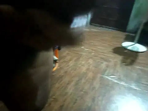 BdTinyDick online show from November 11, 6:19 pm