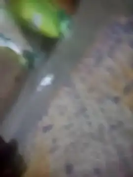 Snapshot of Jooli_cuty chatting on November 11, 7:47 pm Jooli cuty online show from November 11, 7:47 pm