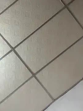 meliodas 23cm online show from March 11, 4:40 am