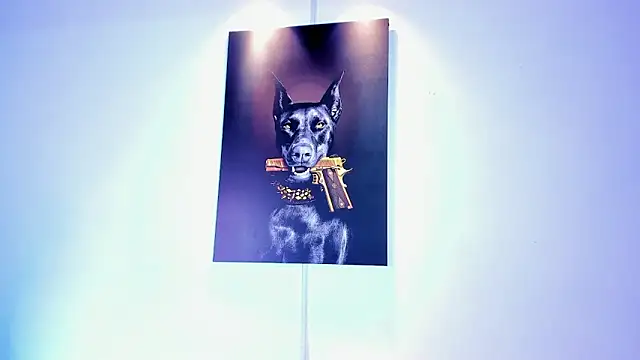 Snapshot of stiven_24cm chatting on November 15, 8:44 am stiven 24cm online show from November 15, 8:44 am