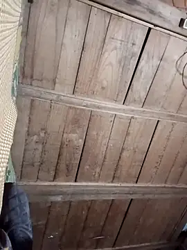 Bee-bgolden online show from November 27, 2:30 pm