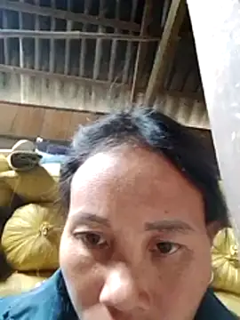 Ana hoa online show from November 24, 2:22 am