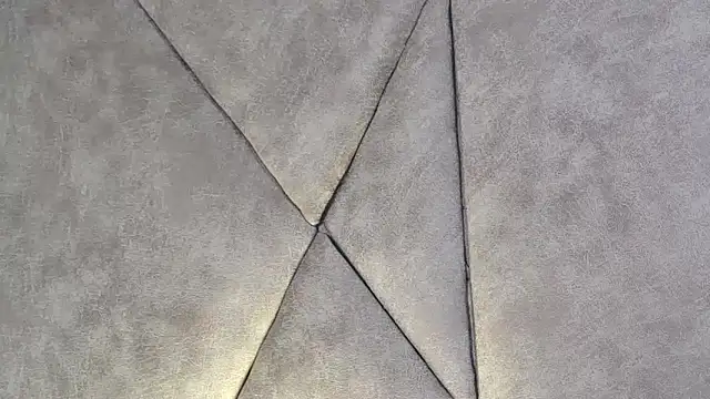 Snapshot of LannyShell chatting on December 17, 5:08 pm LannyShell online show from December 17, 5:08 pm