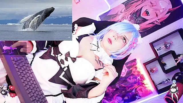 Snapshot of Noha-- chatting on November 17, 12:55 pm Noha-- online show from November 17, 12:55 pm