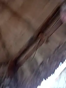 prototipoA45 online show from January 13, 10:26 pm