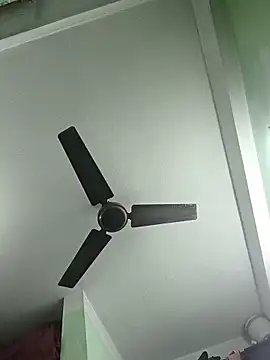 butterflydoll55sexolina online show from November 20, 9:31 am