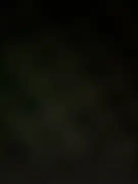 trickydickydaddy online show from March 13, 7:59 am