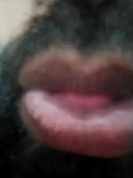 Snapshot of hyderabad_single chatting on November 24, 12:38 pm hyderabad single online show from November 24, 12:38 pm