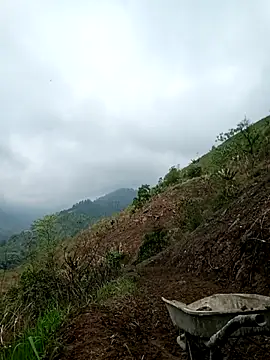 blonde blg online show from March 24, 3:33 am