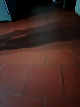 MonasticCanine online show from February 23, 2:09 am