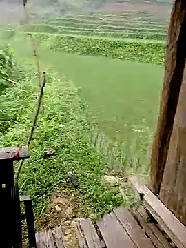 Cloud-wh online show from April 8, 12:10 am