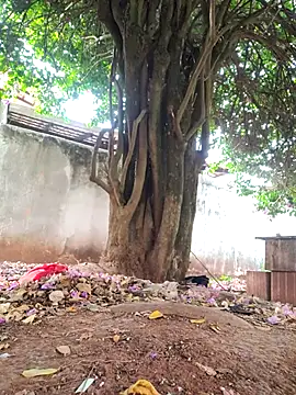 Lucasjandre online show from November 22, 10:14 am