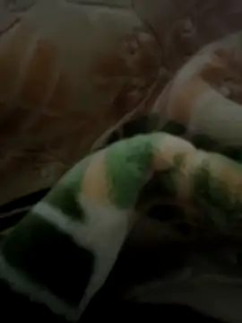 sosalAltimeter online show from November 29, 2:42 pm