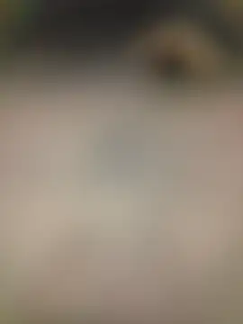 piggylatino online show from February 2, 6:01 am