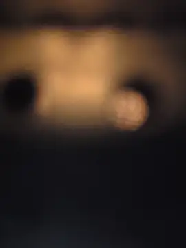 piggylatino online show from February 18, 2:51 am