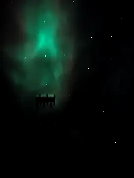 arcacsel online show from November 24, 10:53 pm