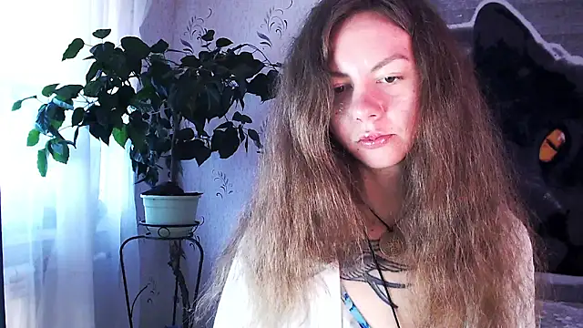 Personal Bulldozer online show from December 22, 8:33 am