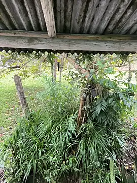 Snapshot of Monahliza chatting on March 12, 12:55 pm Monahliza online show from March 12, 12:55 pm