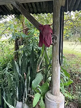 Snapshot of Monahliza chatting on April 6, 4:52 pm Monahliza online show from April 6, 4:52 pm