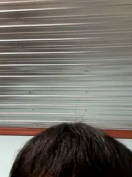 MEFUN- online show from December 16, 11:59 am