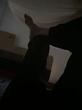 Snapshot of MEFUN- chatting on February 17, 10:01 am MEFUN- online show from February 17, 10:01 am