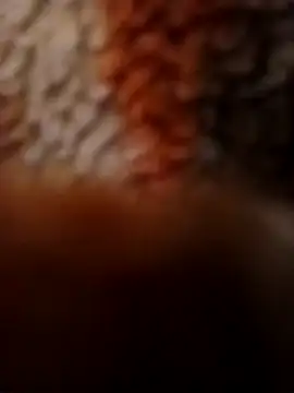 Manav ira online show from November 26, 1:45 pm