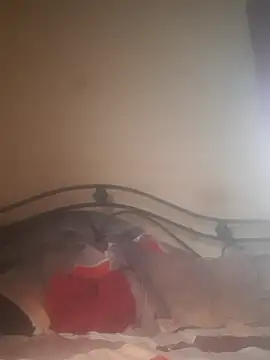 Shivona online show from November 28, 3:53 am