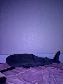 carolinakis  online show from December 18, 8:26 pm