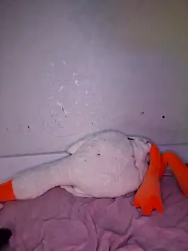 Snapshot of carolinakis_ chatting on February 20, 7:36 pm carolinakis online show from February 20, 7:36 pm