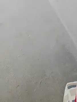 fpic online show from February 9, 4:44 pm