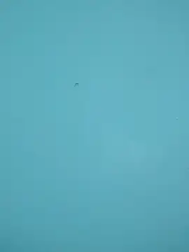 braidqueen00 online show from February 15, 12:18 am