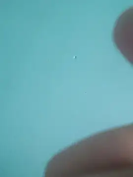 braidqueen00 online show from February 19, 7:54 pm