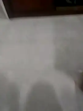 Zaginer online show from November 20, 10:31 pm