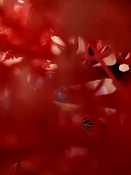 Jbsmaster online show from November 19, 2:06 pm